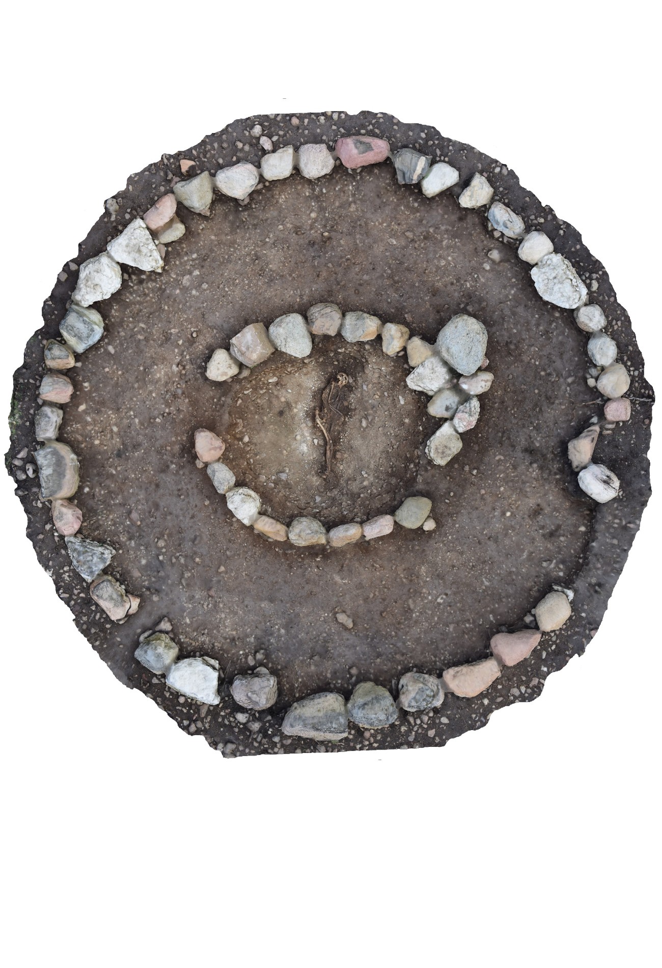 The Buttle Warrior – A New Piece in the Gotlandic Puzzle?